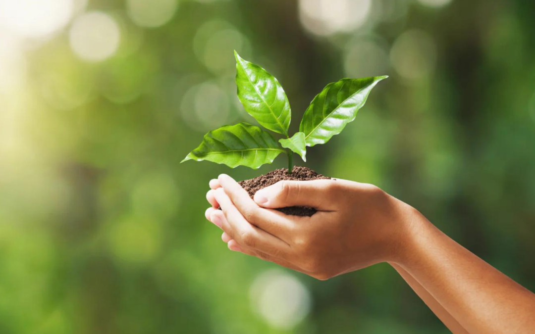 The Future Is Green: 7 Eco-Friendly Franchises