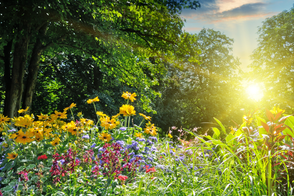 3 Tips For Entrepreneurs To Finish Summer Strong