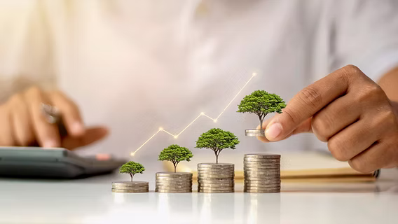 Build Wealth & Save the Planet with These 3 Eco-Friendly Franchises